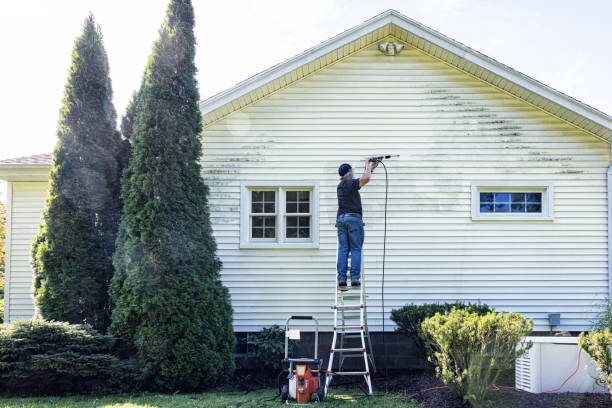 Best Solar Panel Cleaning  in Central Square, NY